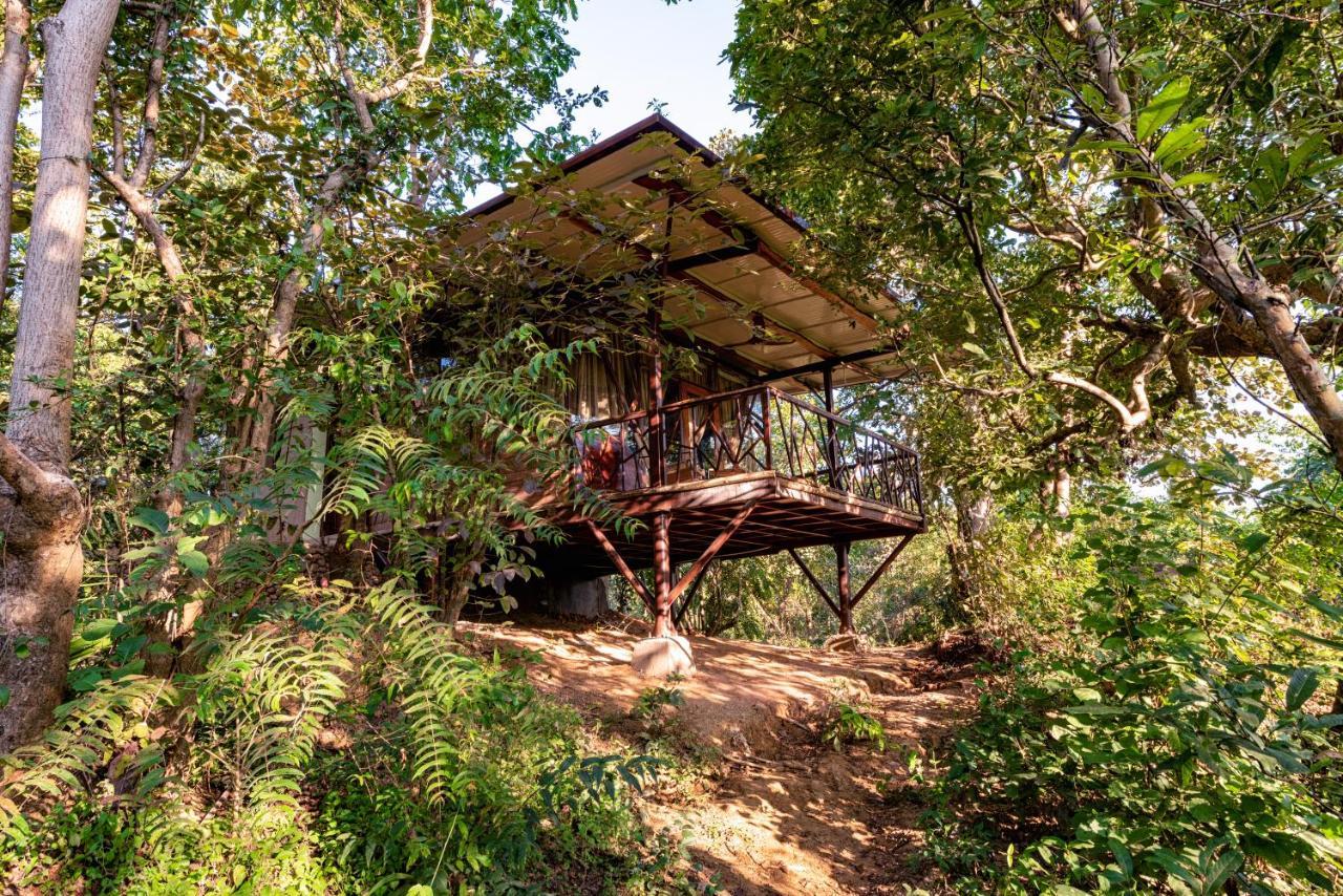 Kanha Jungle Camp Exteriör bild