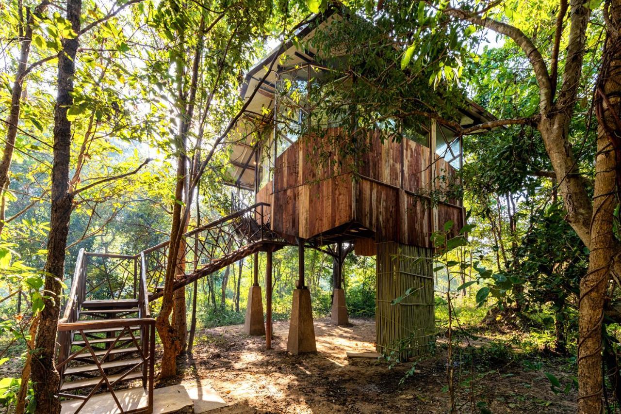 Kanha Jungle Camp Exteriör bild
