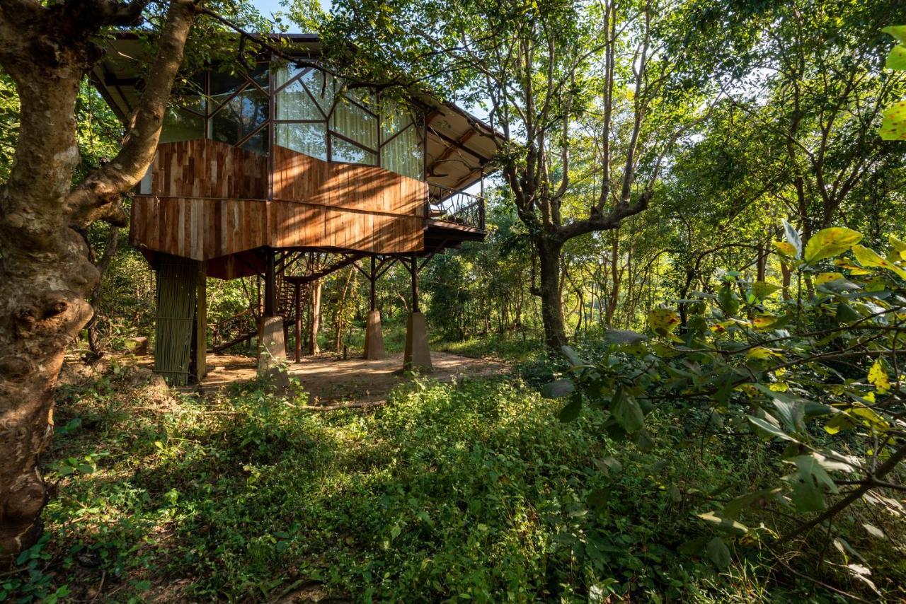 Kanha Jungle Camp Exteriör bild